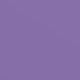 Purple (Study Plan)
