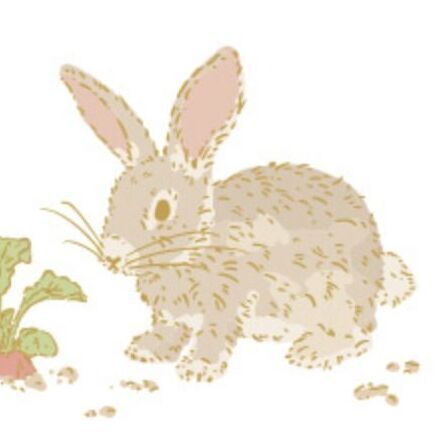 01 Rabbit