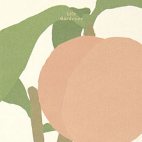 06 Peach