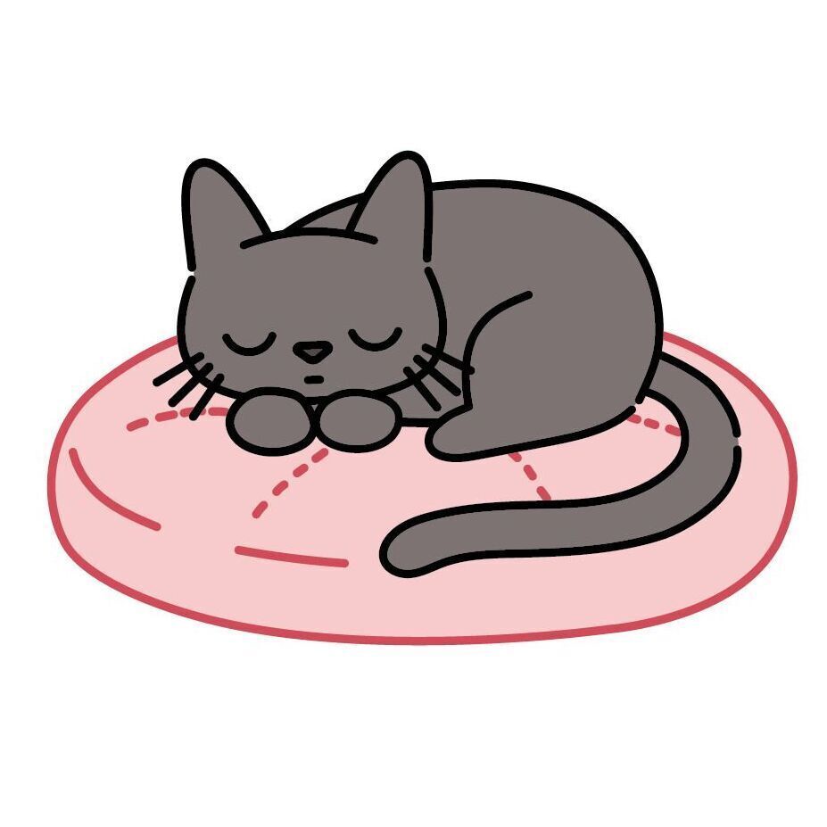 02 Cushion