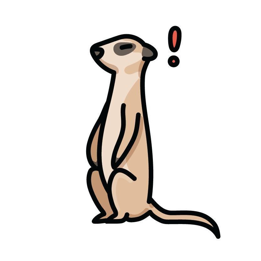 20 Meerkat