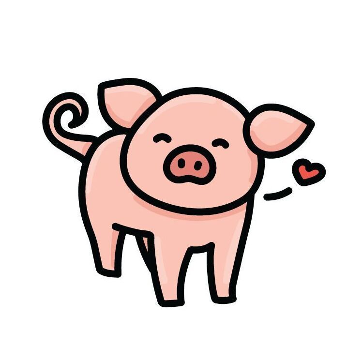 22 Pig