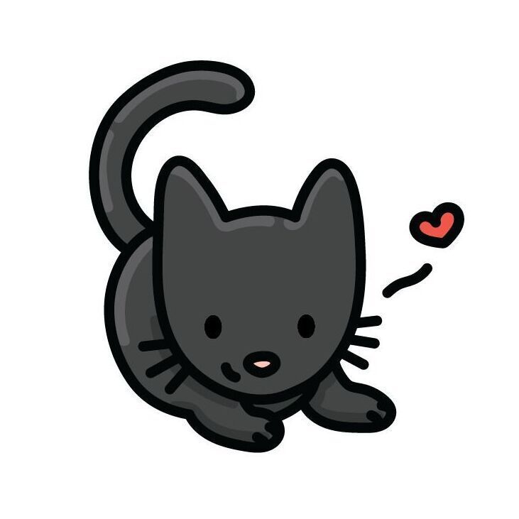 23 Black Cat