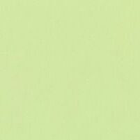 2026 Basic Monthly Planner, Pistachio