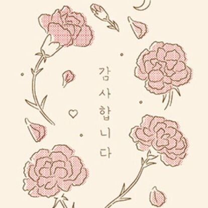 12 Carnation Frame