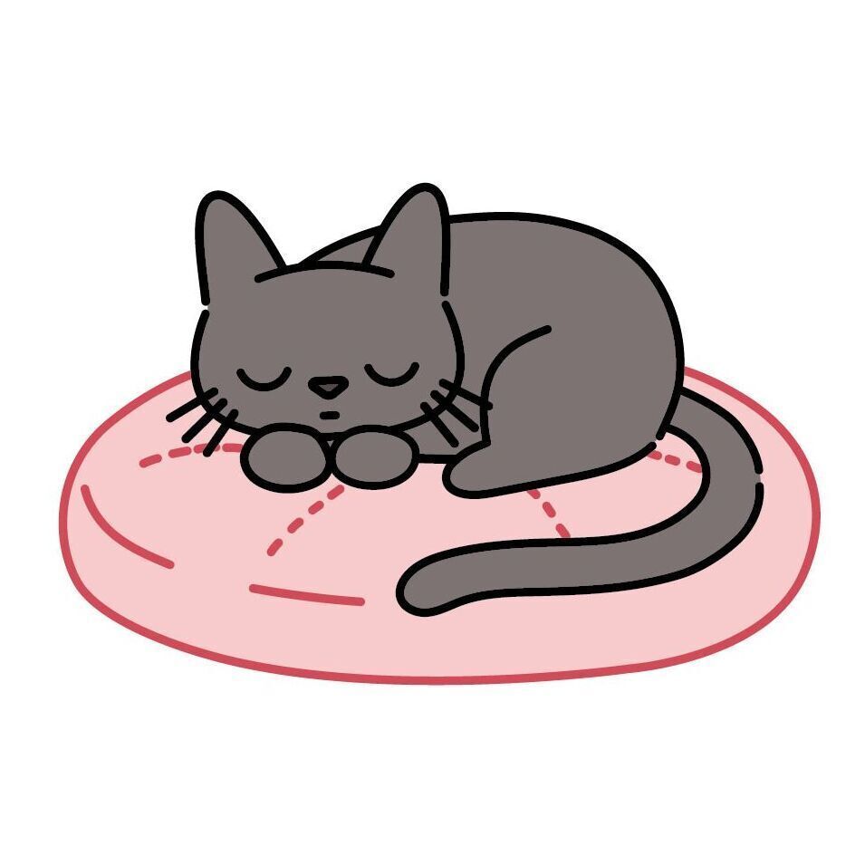 10 Cushion