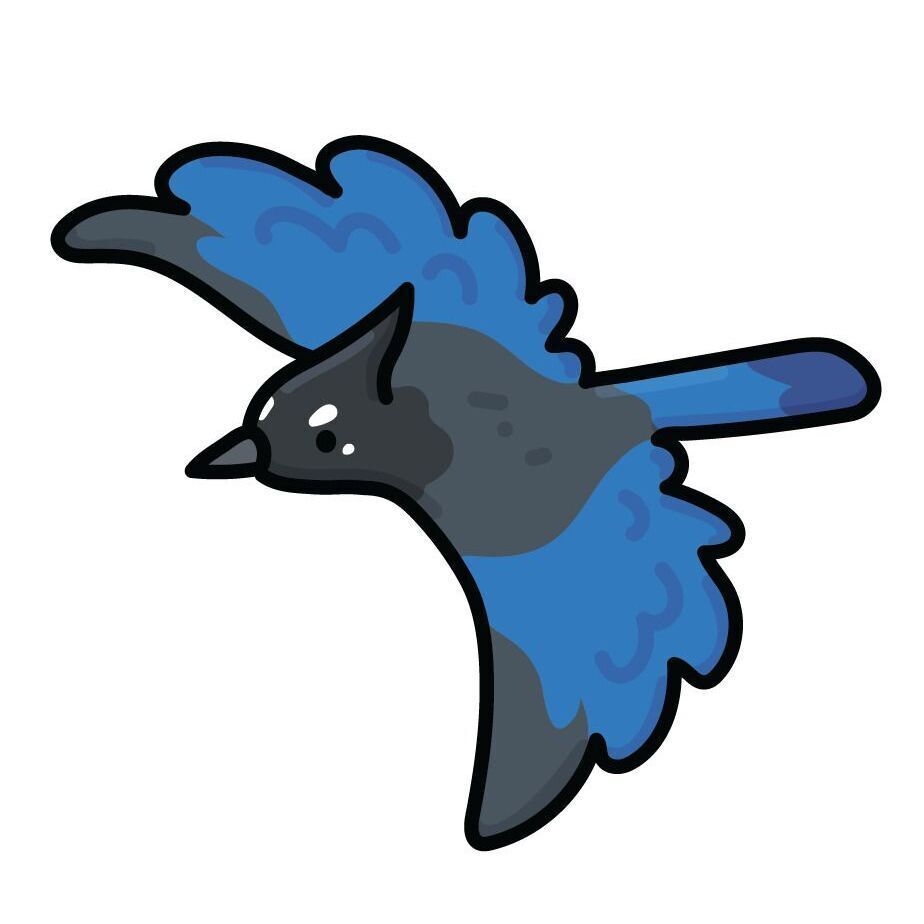 20 Stella's Jay