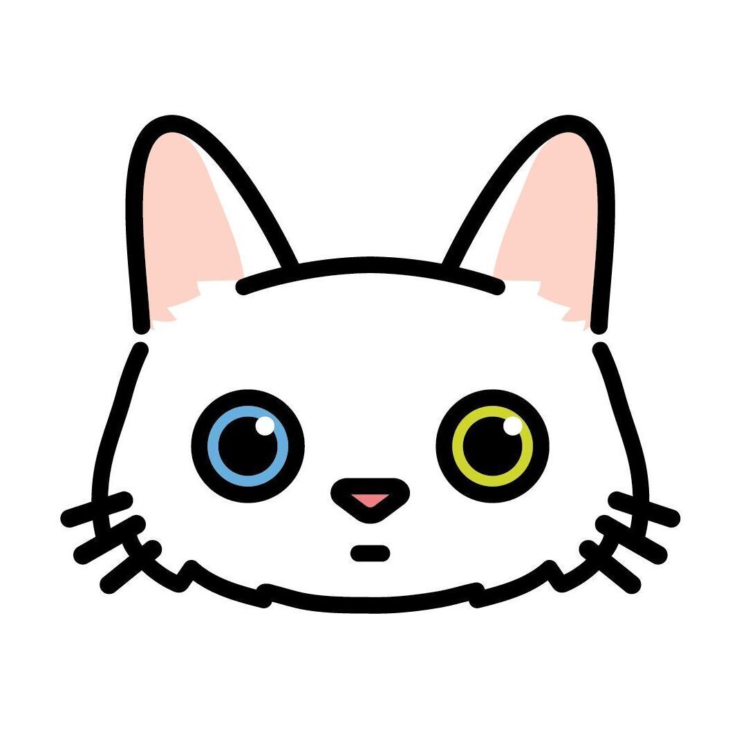 12 Turkish Angora