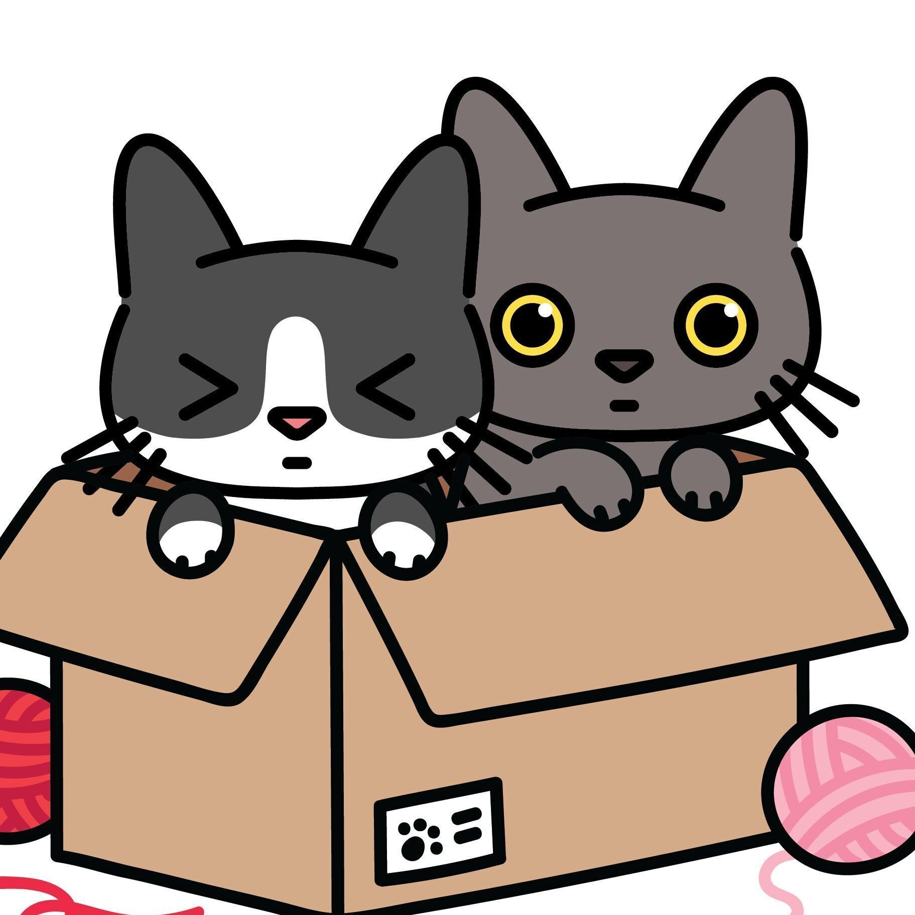 02 Box