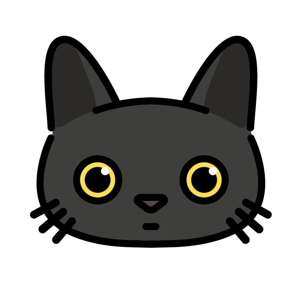 07 Black Cat