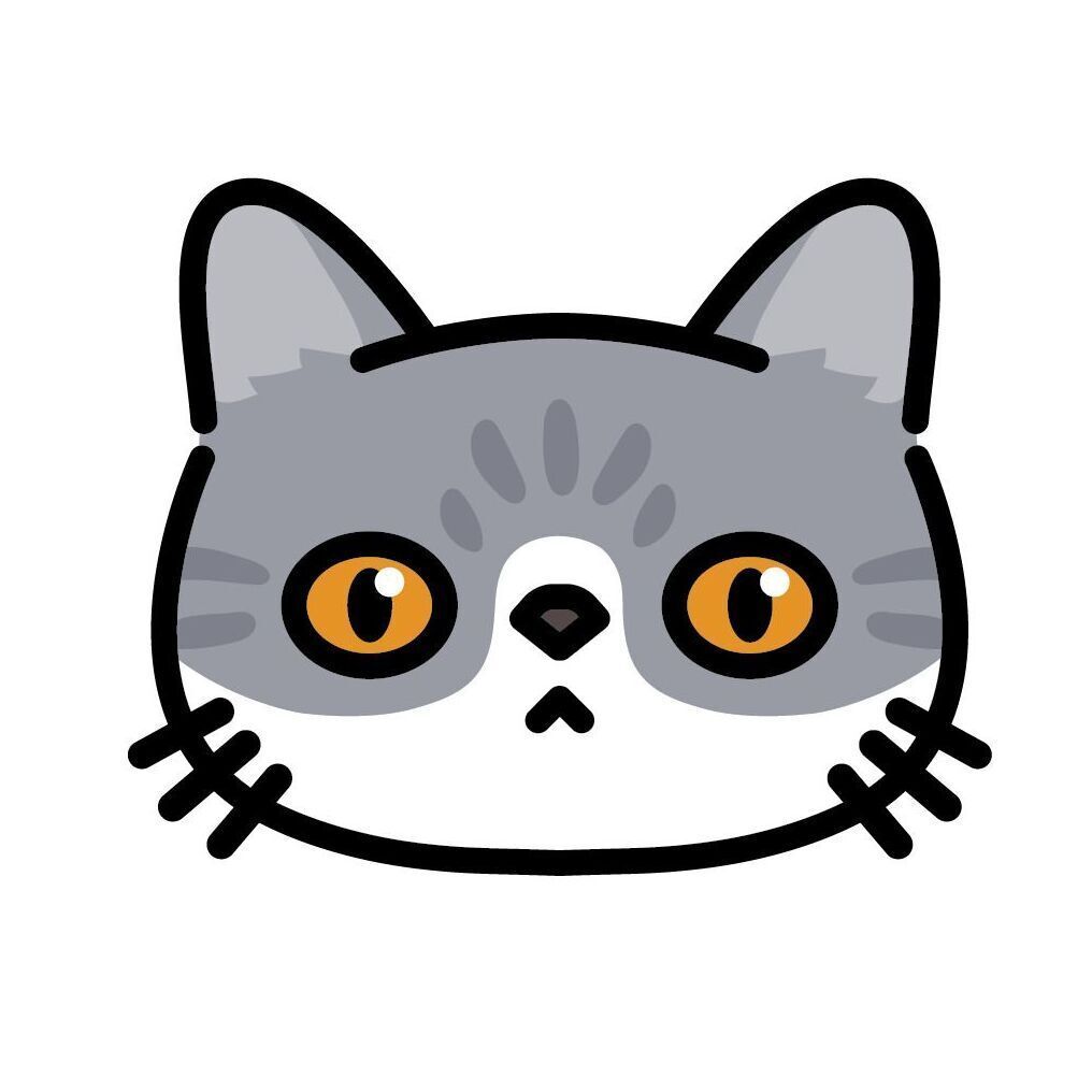 08 Exotic Shorthair