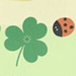 Clover
