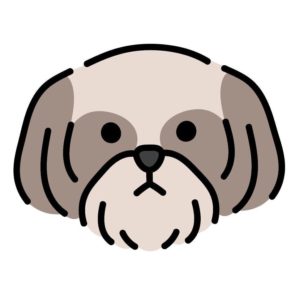 13 Shih Tzu