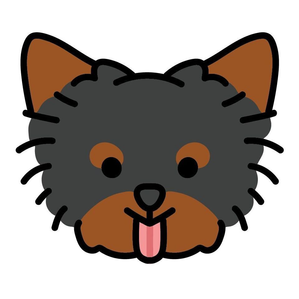 16 Yorkie