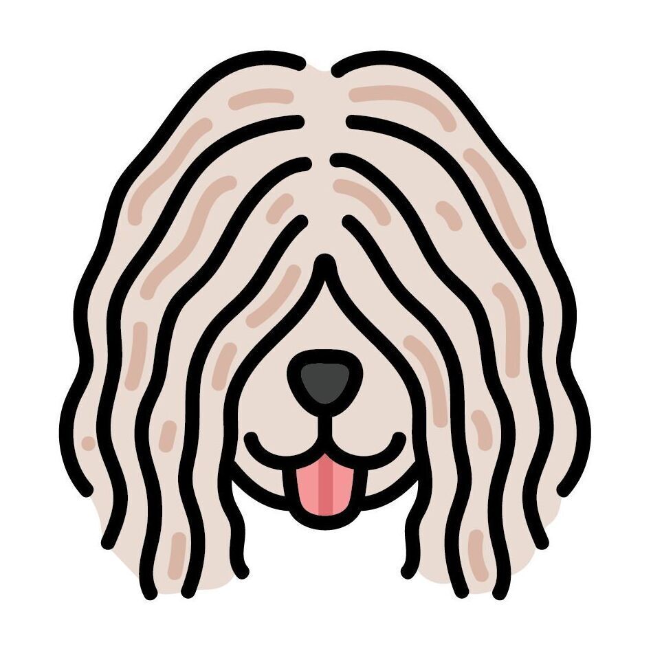Set 14 Komondor