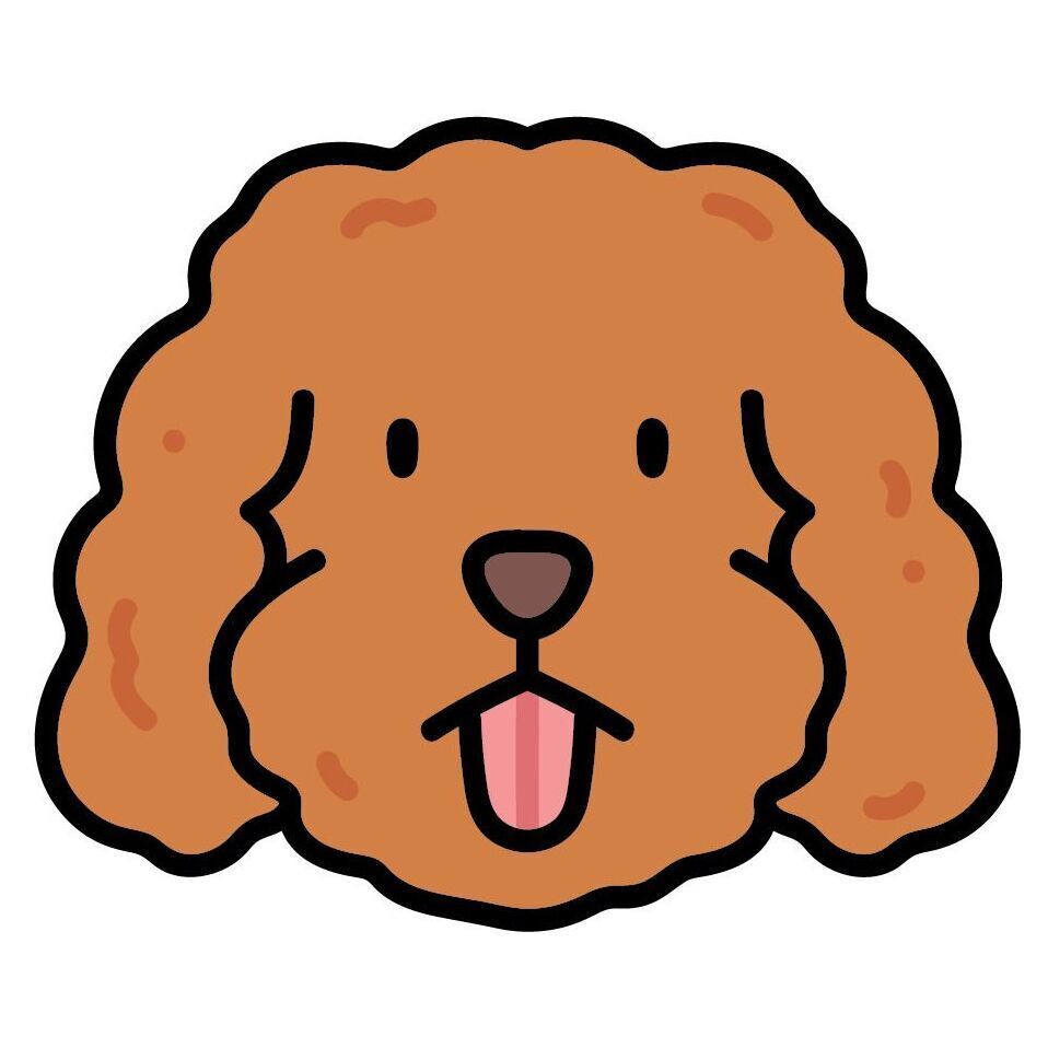 Set 15 Goldendoodle