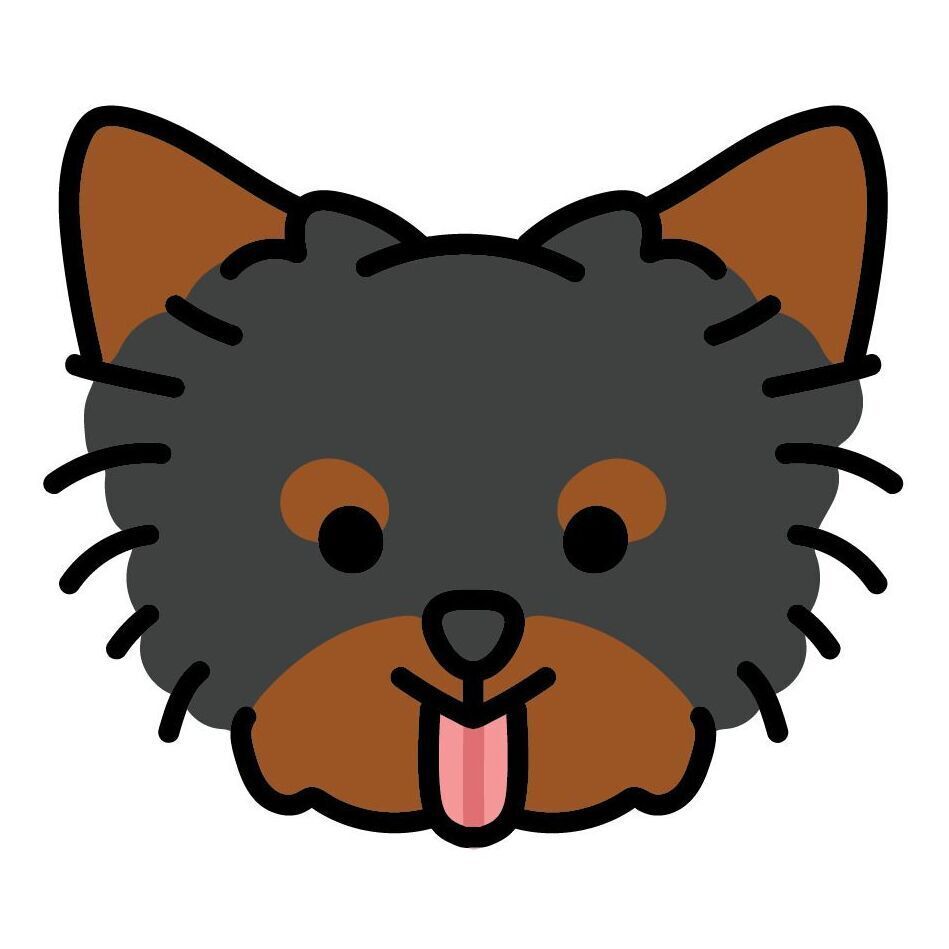 Set 16 Yorkie