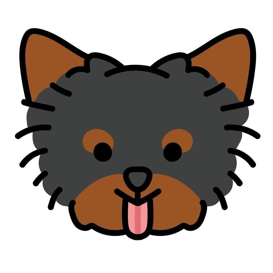 16 Yorkie