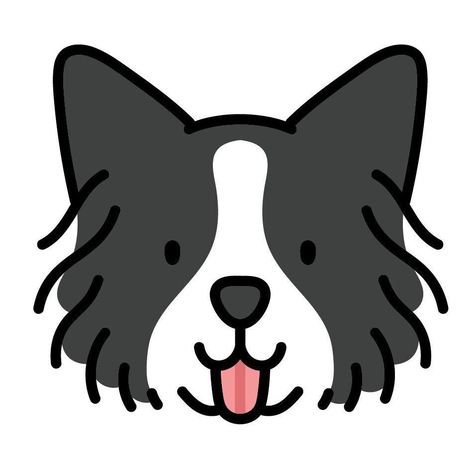 18 Border Collie