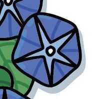 04 Morning Glory