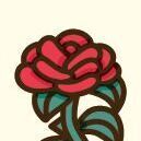 08 Rose