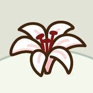 10 Lily