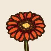 11 Gerbera