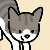 02 Cat