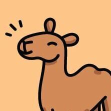 13 Camel