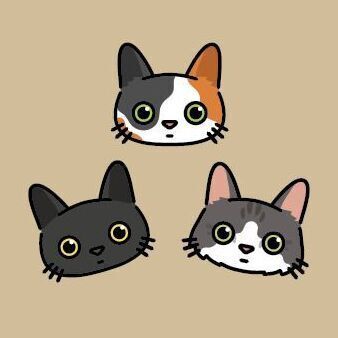 Cat Face