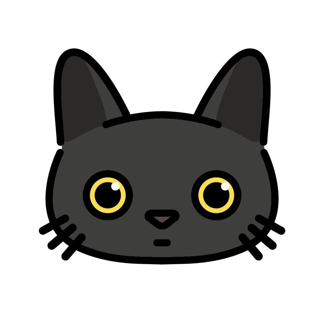 06 Black Cat