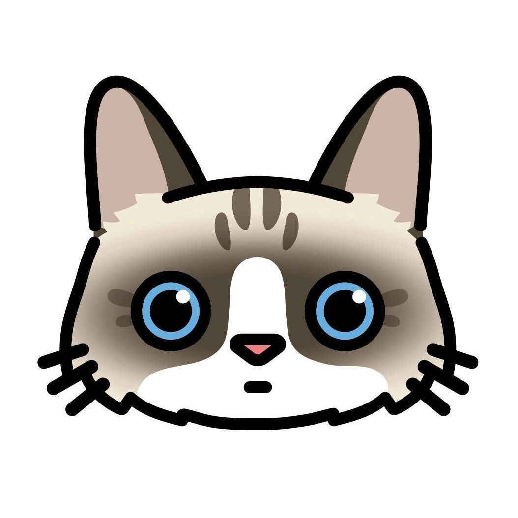 08 Ragdoll