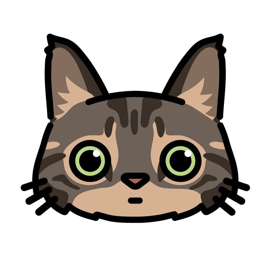 12 Maine Coon