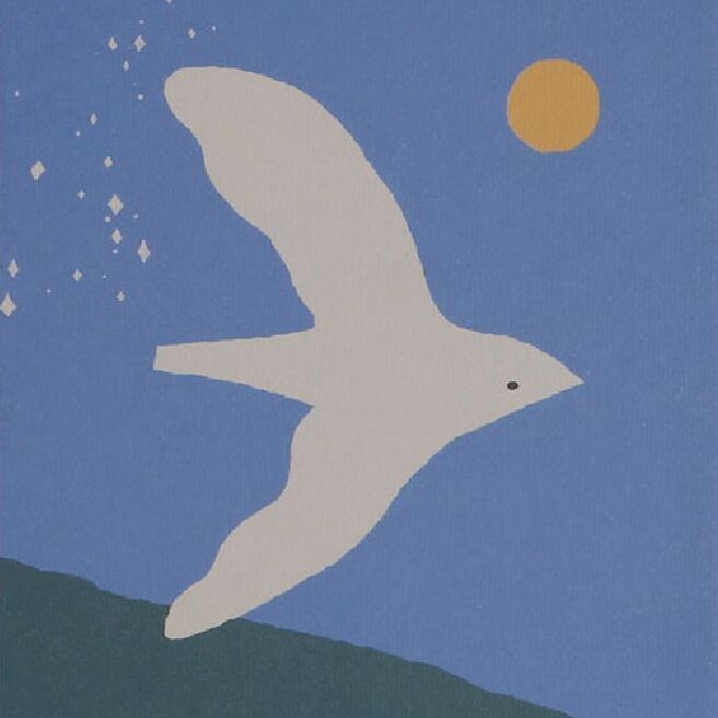 Fly to the Moon